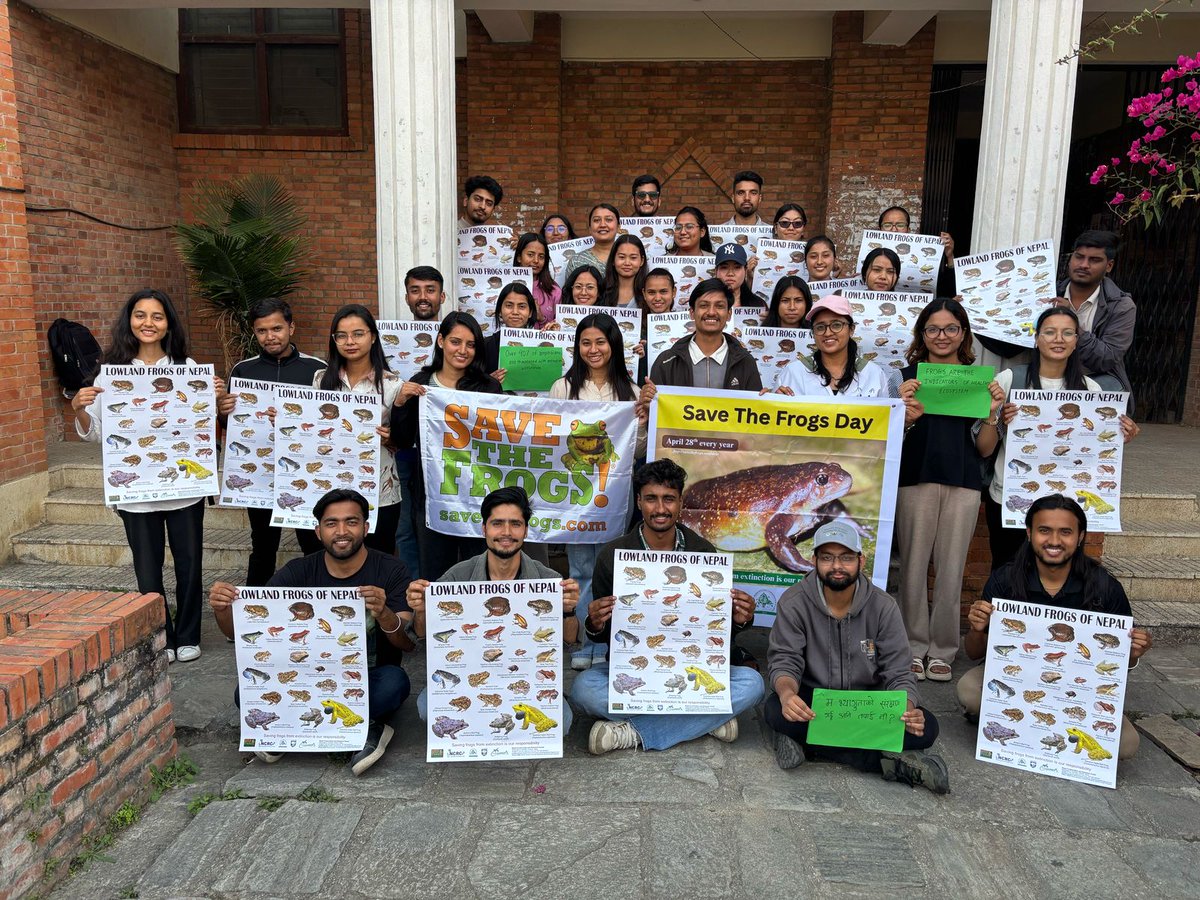 HerpsFreakk🐍🐸🐢 (@bishaln58025383) on Twitter photo Event-2 #Save The Frog Day 2025
Central Department of Zoology, Kritipur
<a href="/herpsNEPAL/">bhattarai.herps 🦎🐍🐢🐊🐸🌿🌳🌲</a> <a href="/WorshipNature/">Hem Sagar Baral</a>
<a href="/savethefrogs/">SAVE THE FROGS!</a> Event-2 #Save The Frog Day 2025
Central Department of Zoology, Kritipur
<a href="/herpsNEPAL/">bhattarai.herps 🦎🐍🐢🐊🐸🌿🌳🌲</a> <a href="/WorshipNature/">Hem Sagar Baral</a>
<a href="/savethefrogs/">SAVE THE FROGS!</a>