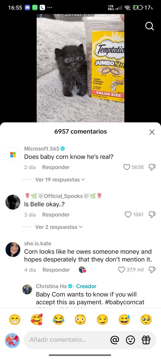 All33octaves's tweet photo. Even Microsoft thinks it's a mystery how small Baby Corn can be, let alone how cute he is🥴🥴
@Microsoft
#BABYCORN
BcXQxnWSNN1XrUuDnDtM2uCo4H83o9HinCcqraa1pump https://t.co/rzUZ7P9xY5