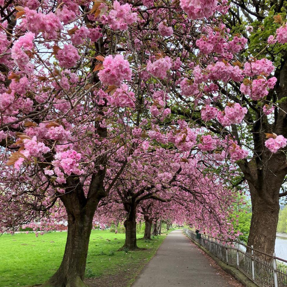 Here's a selection of your pictures of Scotland sent in between 25 April and 2 May. 🖼️

Take a look here: bbc.in/3EVGG4o

Send your photos to scotlandpictures@bbc.co.uk