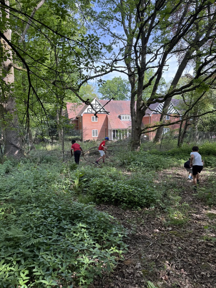 St. Joseph's tweet media