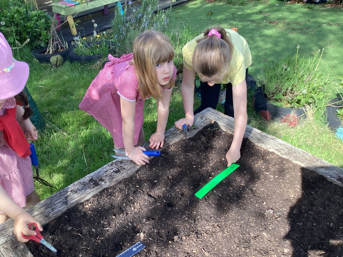 CGIPhillips's tweet photo. We have been working super hard in the garden this week, we have planted lots of vegetables in the garden and canโt wait to look after them and watch them grow ๐ค๐ผ๐ค๐ผ #EthicalInformedCitizens #CGiSciT https://t.co/VsEgeovMrP