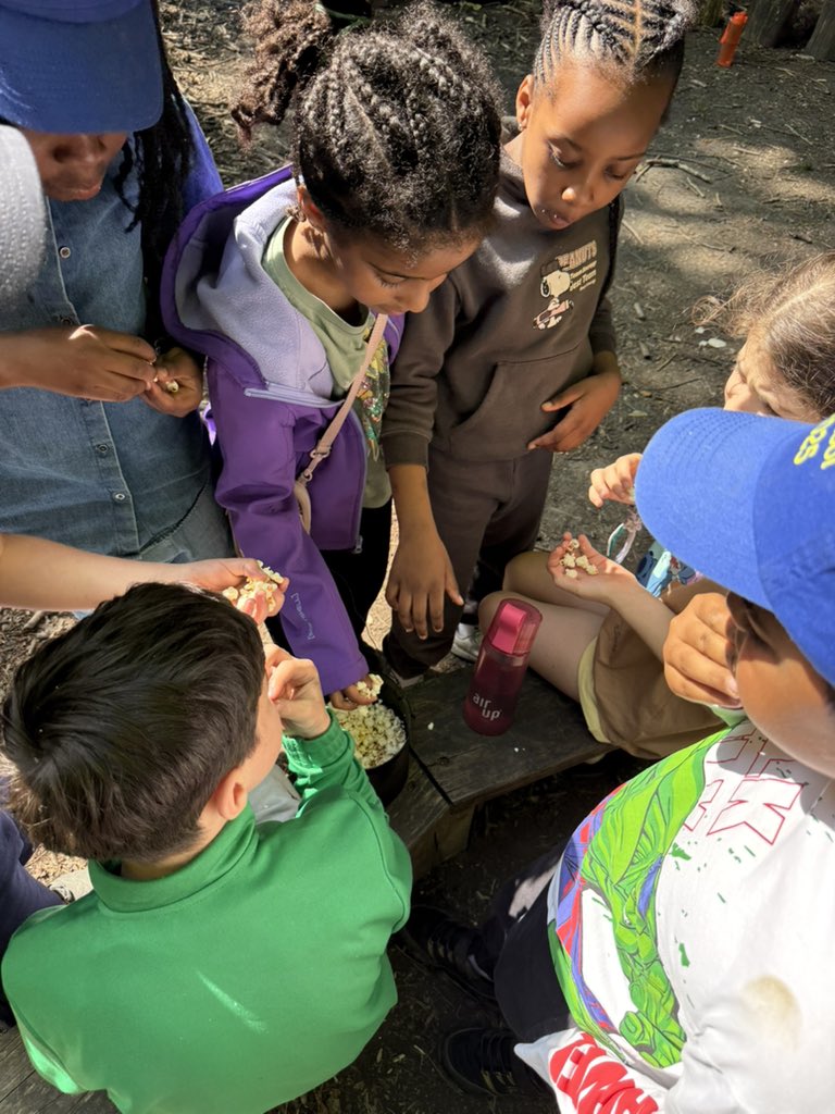 St. Joseph's tweet media