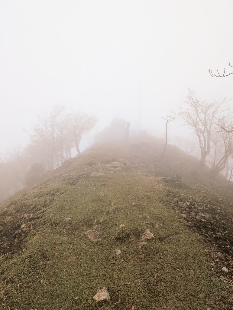 OSAPCO1's tweet image. たまには都会の喧騒から距離を置いて自然に触れないと色々とやってられない。霧で眺望は皆無だったけど神秘的で幻想的だった。

奈良県と三重県との県境にある“関西のマッターホルン”とも呼ばれている高見山（1248m）