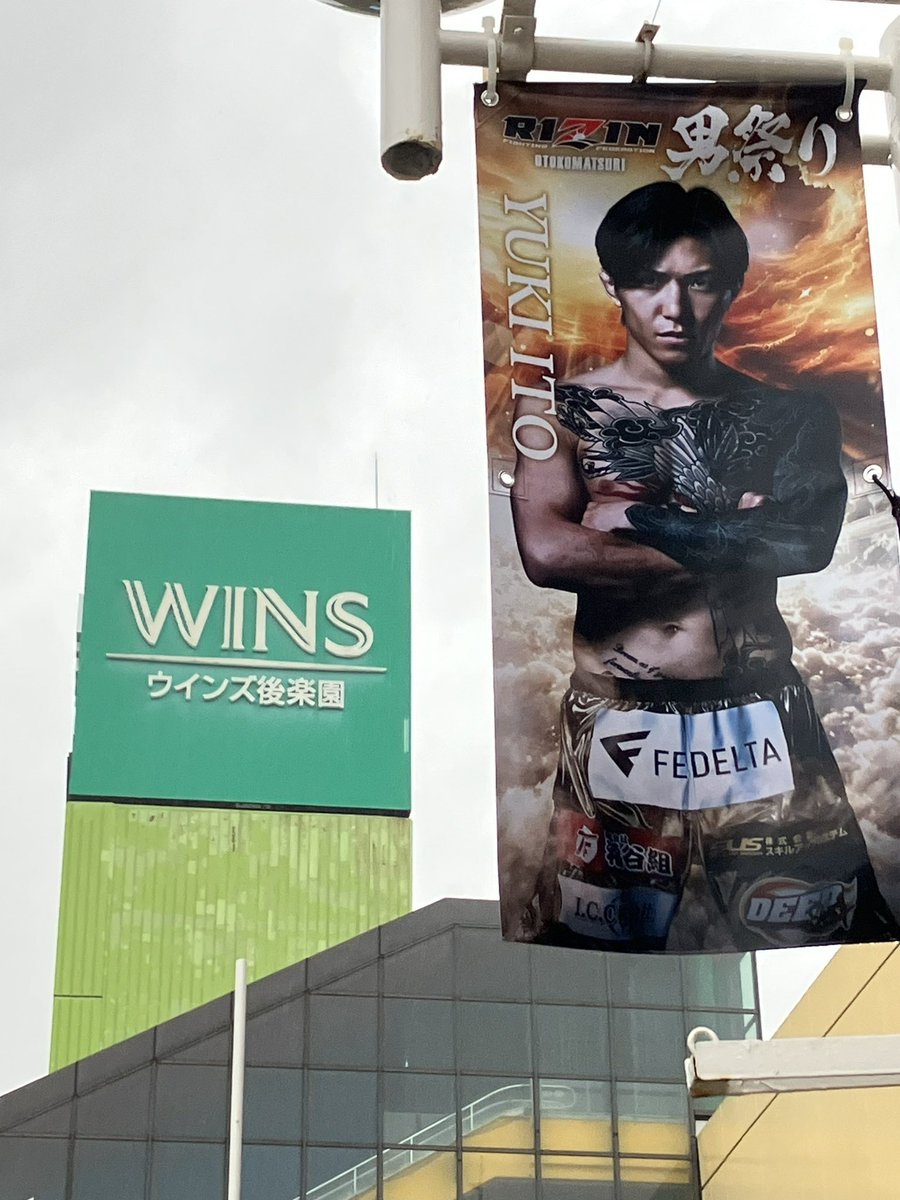 yuki_mma's tweet photo. 俺のファイトマネー全部とる気満々だな https://t.co/Azh6RNYd3E
