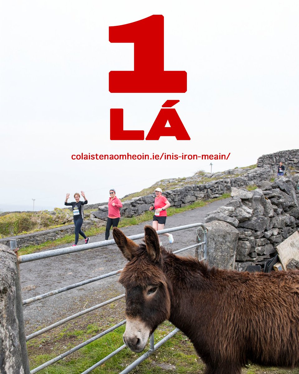An bhfuil tú réidh? 🏃‍♂️🏆☀️

Táimid ag súil leis an lá mór ar Inis Meáin amárach!

#InisIronMeáin2025