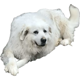 plowface's tweet image. I may have very much left to give, though only to those who still have an open Heart &amp;amp; Ear. Thank You for Your Presence, patience &amp;amp; perseverance.