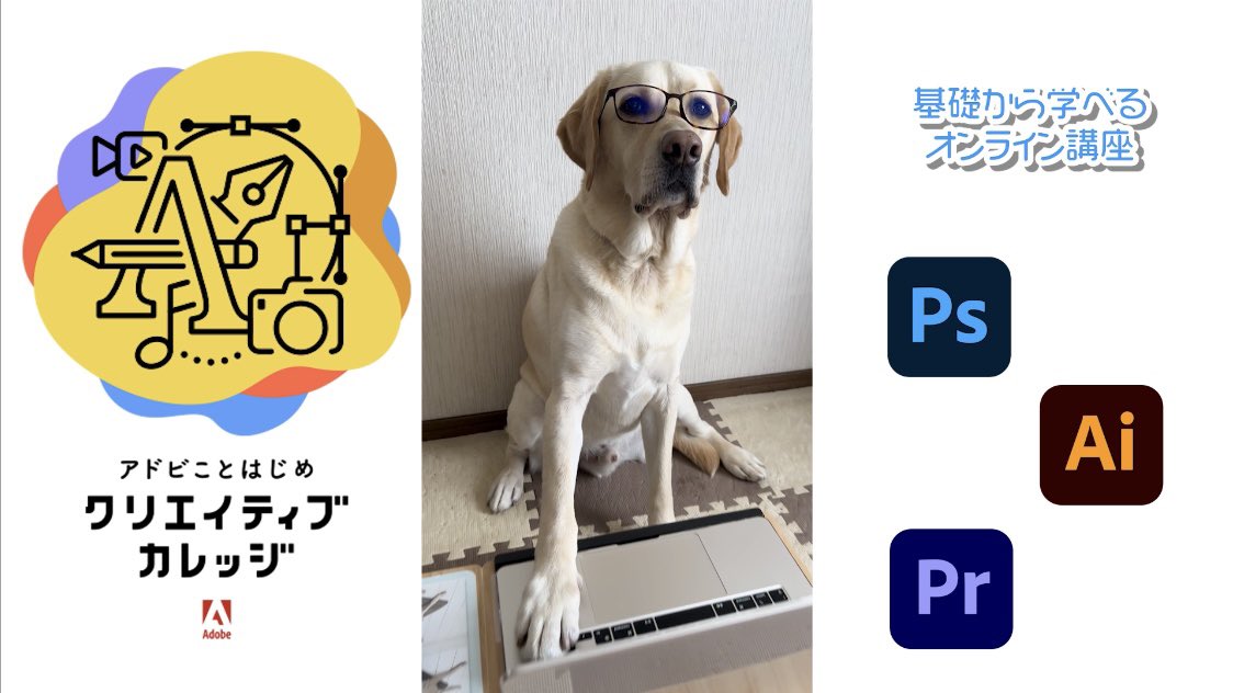 designu2024's tweet photo. アドビ クリエイティブカレッジ PremiereProコース 卒業課題🎞✨️ 
無事に承認されました🦮🎶

モデルはデザイヌのろみお社長👑 https://t.co/RRjnaqpouH