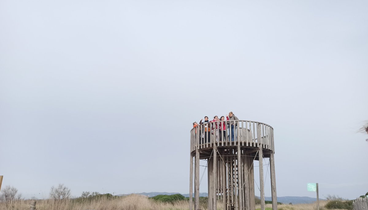 lafundicio@mastodon.social tweet media