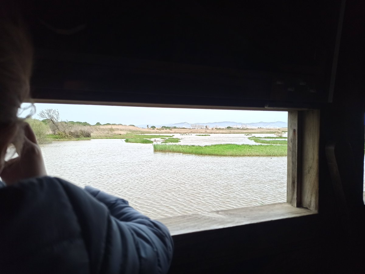 lafundicio@mastodon.social tweet media