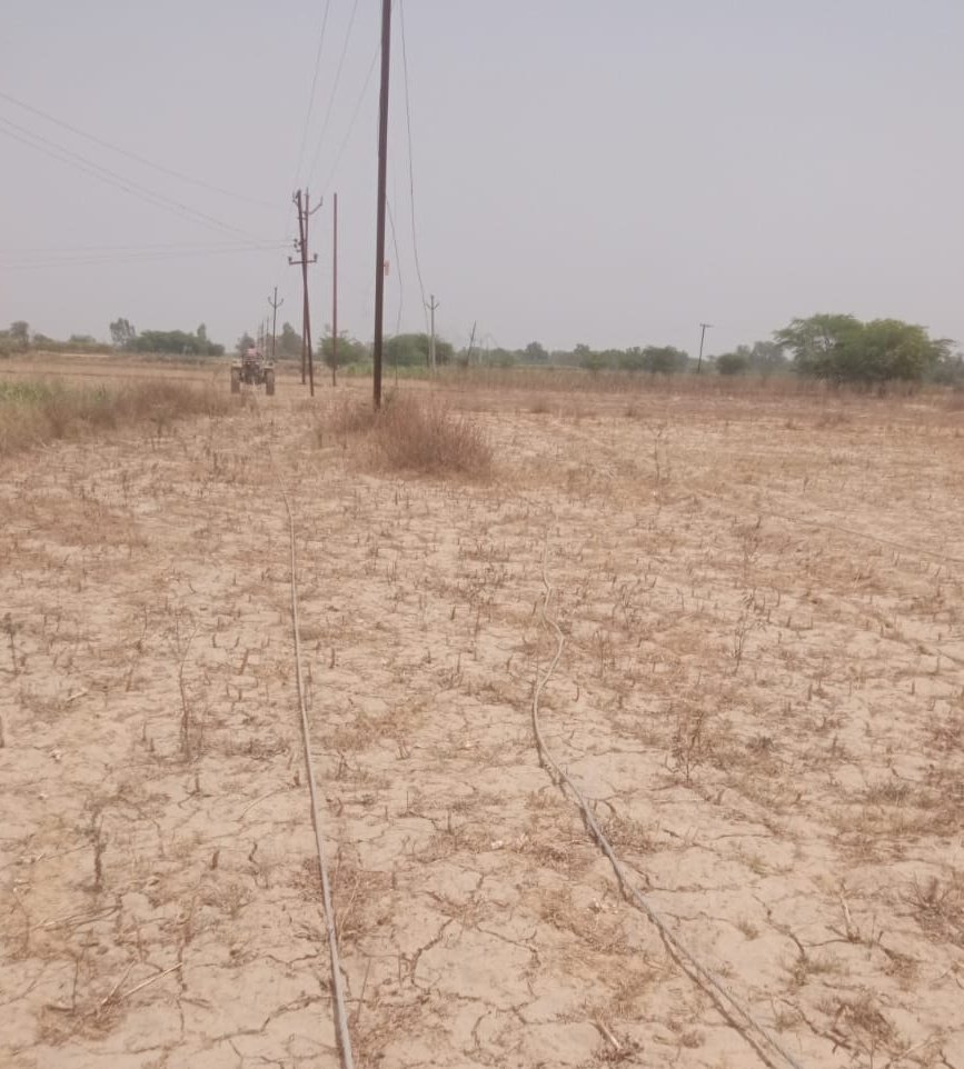 PUVVNL Fatehpur (@puvvnlfatehpur) on Twitter photo #RDSS
दि. 02.05.2025 को जिला फतेहपुर वि0वि0खण्ड बिंदकी उपकेन्द्र अमौली के 11 केवी फीडर बिरनई के बेहटा खुर्द में एचटी पोलो पर कंडक्टर चढ़ाने का कार्य कराया जा रहा है। जिससे उपभोक्ताओं को निर्बाद विद्युत आपूर्ति प्राप्त होगी।
<a href="/MD_PuVVNL/">PuVVNL</a>
<a href="/UPPCLLKO/">UPPCL</a>
<a href="/ceelec_ald/">Chief Engineer (D) Prayagraj Zone-I</a>
<a href="/dmfatehpur/">DM FATEHPUR</a> #RDSS
दि. 02.05.2025 को जिला फतेहपुर वि0वि0खण्ड बिंदकी उपकेन्द्र अमौली के 11 केवी फीडर बिरनई के बेहटा खुर्द में एचटी पोलो पर कंडक्टर चढ़ाने का कार्य कराया जा रहा है। जिससे उपभोक्ताओं को निर्बाद विद्युत आपूर्ति प्राप्त होगी।
<a href="/MD_PuVVNL/">PuVVNL</a>
<a href="/UPPCLLKO/">UPPCL</a>
<a href="/ceelec_ald/">Chief Engineer (D) Prayagraj Zone-I</a>
<a href="/dmfatehpur/">DM FATEHPUR</a>
