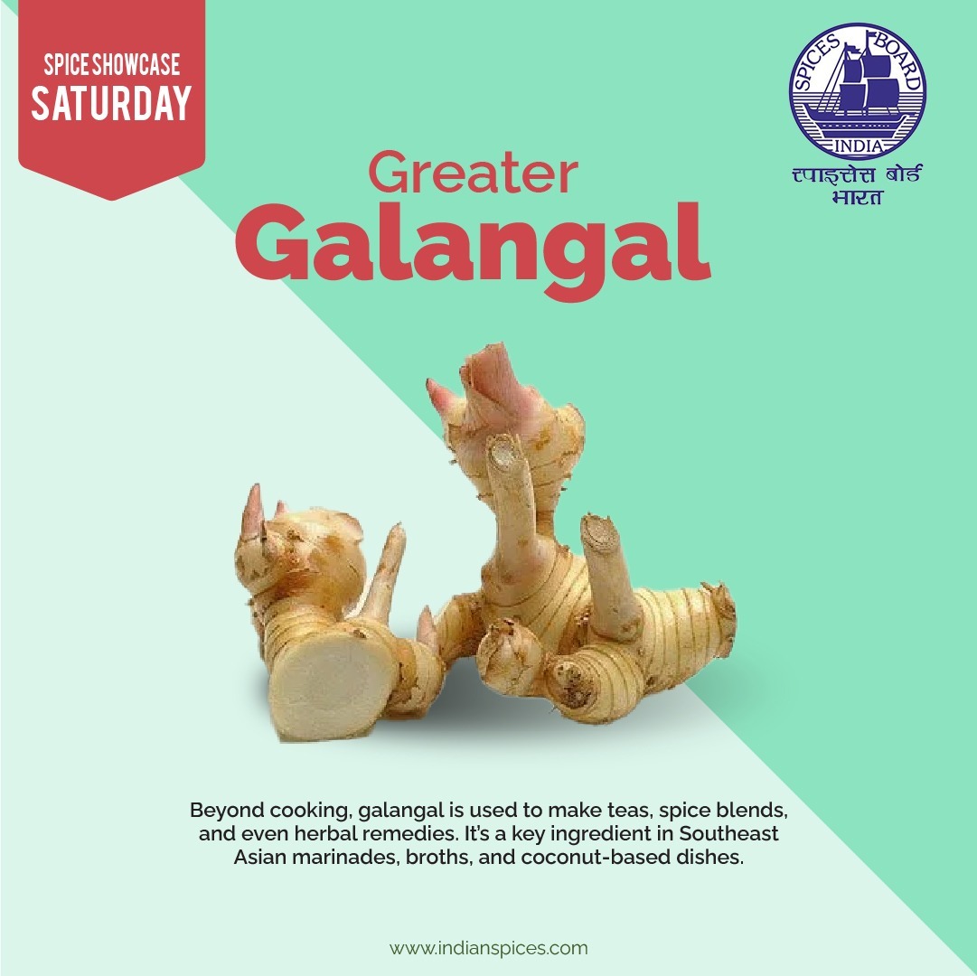Spices_Board's tweet image. More than a spice! Galangal goes beyond the pot — it’s used in teas and traditional healing too. Explore its versatility!
@DoC_GoI 
#SpiceShowcaseSaturday #GreaterGalangal #VersatileSpice #SpicesBoard