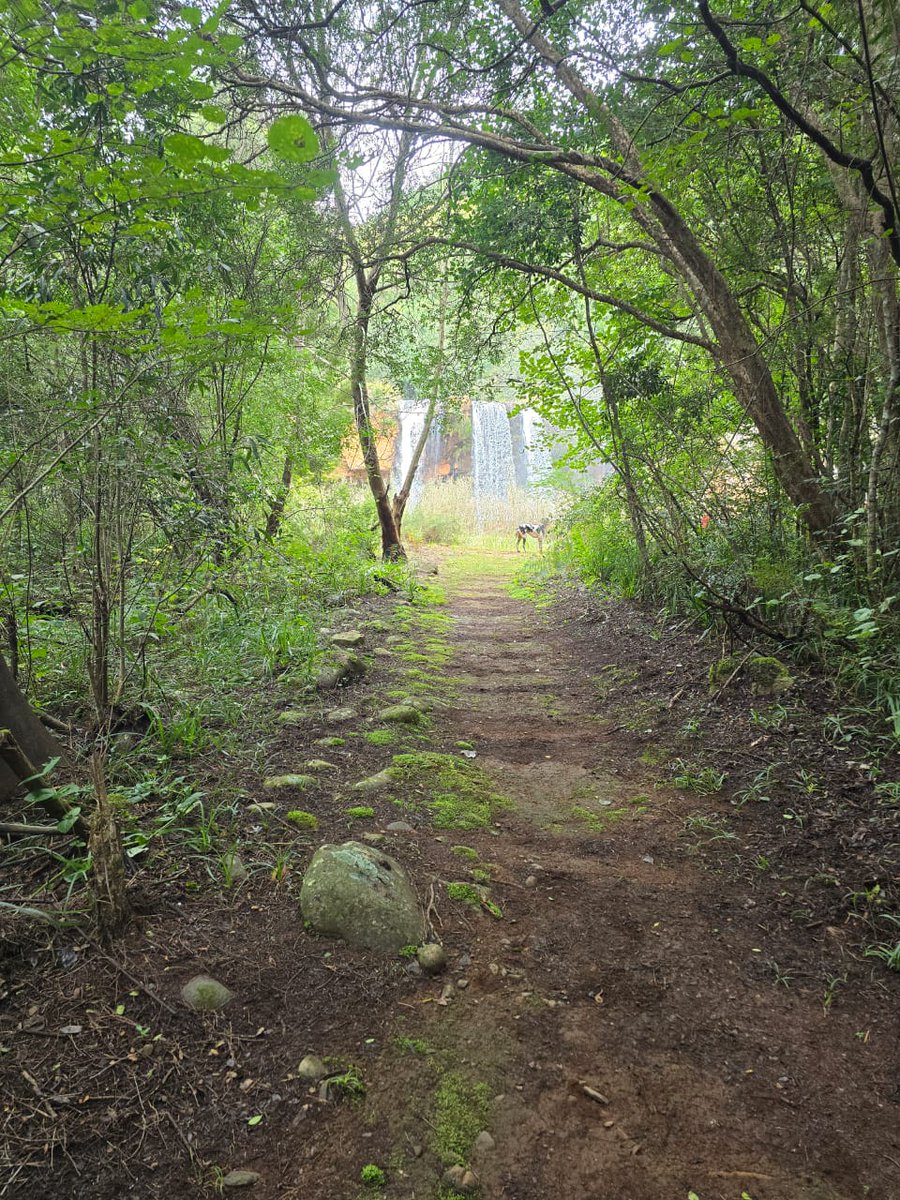 🌸Jadie Baby🌸 tweet media