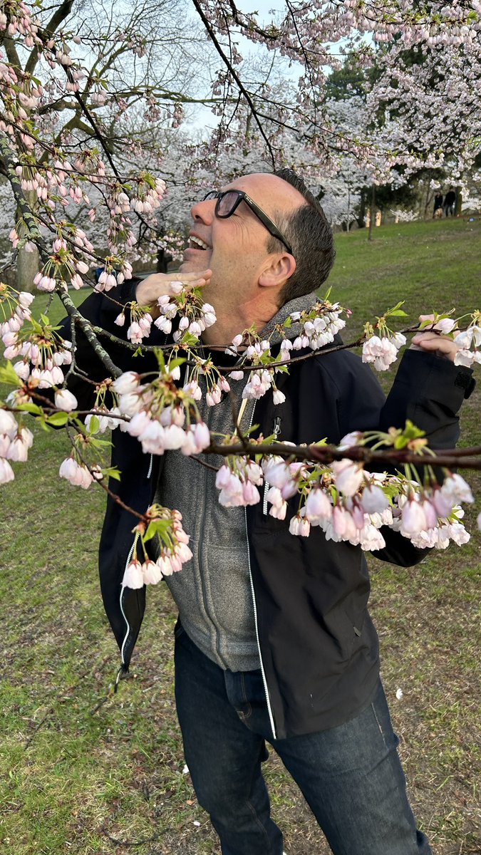 So pretty <a href="/breakfasttv/">Breakfast Television</a> #cherryblossoms #highpark