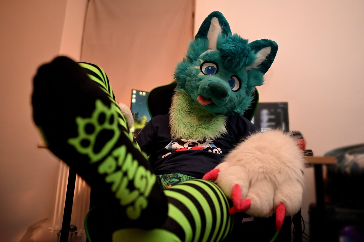 mato_husky (@mato_husky) on Twitter photo ๐๐ Gimme the sunshine for the weekend with <a href="/AngyPaws/">Angy Paws - ๐งฑ๐ฅ๐พ</a> โ๏ธ๐ ๐๐
Thankies for awesome socks <a href="/AngyPaws/">Angy Paws - ๐งฑ๐ฅ๐พ</a>
๐ฃ๐พ
๐ท <a href="/littlepawsnep/">Snepรญk Littlepaw โก๏ธ ฤesfur</a> ๐ฅฐ
๐งต <a href="/Bambilijas/">Bambilijas</a> + <a href="/RokajTheHusky/">Rokaj</a> ๐ฅฐ
#happyfursuitfriday
#fursuitfriday
#furry #furrsuit #fursuiter #furryfandom #furries #furryhusky ๐๐ Gimme the sunshine for the weekend with <a href="/AngyPaws/">Angy Paws - ๐งฑ๐ฅ๐พ</a> โ๏ธ๐ ๐๐
Thankies for awesome socks <a href="/AngyPaws/">Angy Paws - ๐งฑ๐ฅ๐พ</a>
๐ฃ๐พ
๐ท <a href="/littlepawsnep/">Snepรญk Littlepaw โก๏ธ ฤesfur</a> ๐ฅฐ
๐งต <a href="/Bambilijas/">Bambilijas</a> + <a href="/RokajTheHusky/">Rokaj</a> ๐ฅฐ
#happyfursuitfriday
#fursuitfriday
#furry #furrsuit #fursuiter #furryfandom #furries #furryhusky