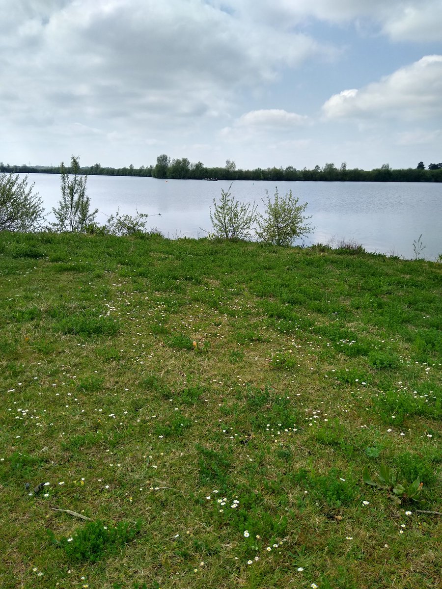 So peaceful and calm.