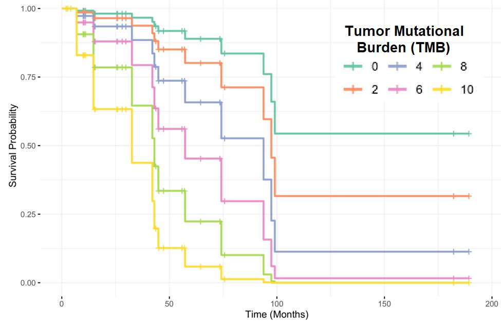 CPatel_Lab's tweet image. Congratulations to @MDAndersonNews former neuro-oncology fellow @KengLam6 (now at @cityofhope) on his recent study of molecular alterations in IDH-mutant astrocytoma doi.org/10.1093/noajnl… (collab w/ @leoballester @EsquenaziMD  @AntonioDonoMD) #BrainCancer