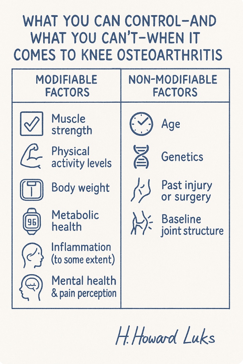 While some factors that influence knee osteoarthritis are out of our hands, like age or past injuries, many are well within our control. Understanding the difference can be empowering. By focusing on what can be changed, like improving strength, movement habits, and metabolic