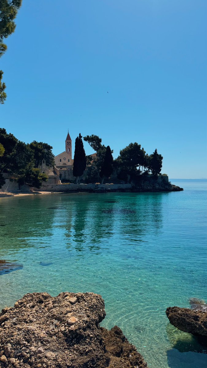 Marko Boko tweet media