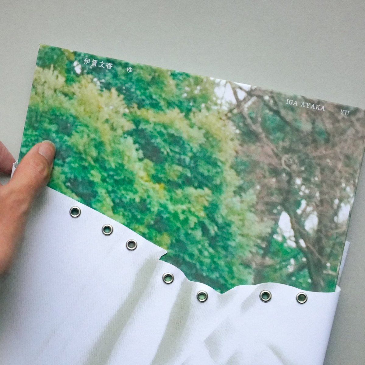 yamamoto_ensou's tweet photo. 美術作家、伊賀文香さんの大学院卒業制作展の展示記録に関わりました。装丁を担当しています。
ブックカバーには作品内で使用されているカーテンと同じ素材、ポリエステルとハトメを採用し、布のしわや重なりを印刷しています。
@aaayk_ig https://t.co/ifTzK4vcsv