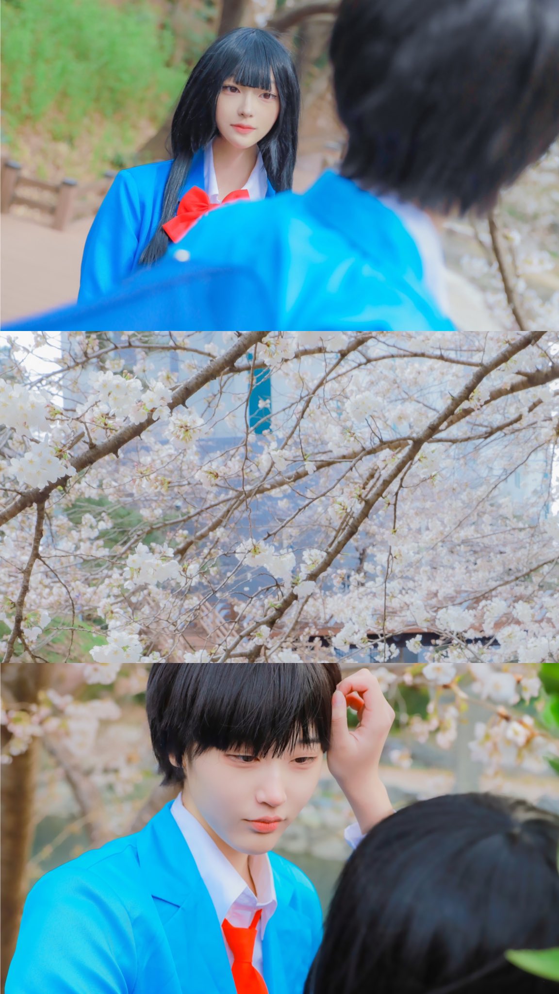 sawako - Search / X