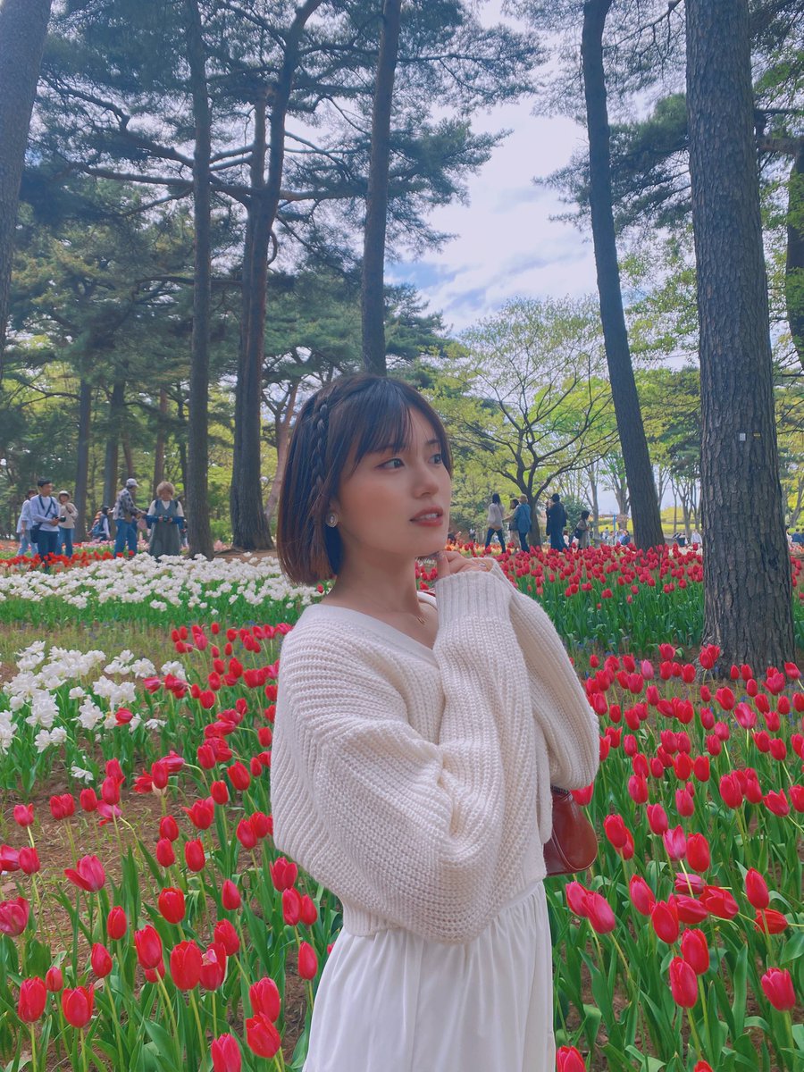 ：🌷𝐓𝐔𝐋𝐈𝐏🌷：