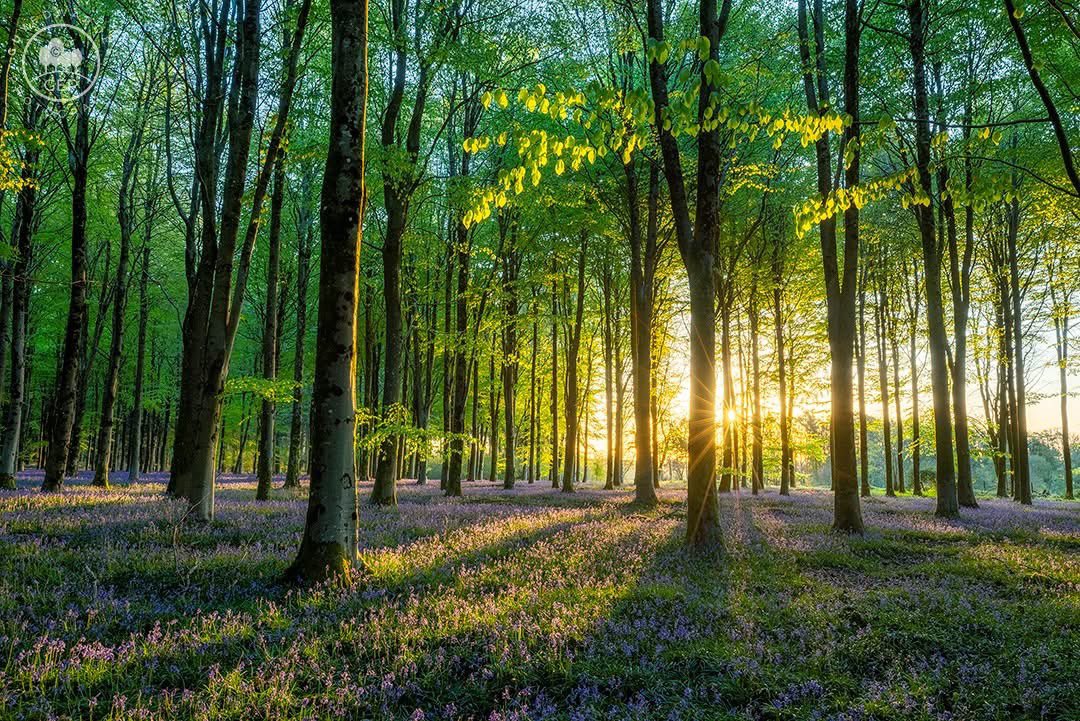 Guy Edwardes tweet media