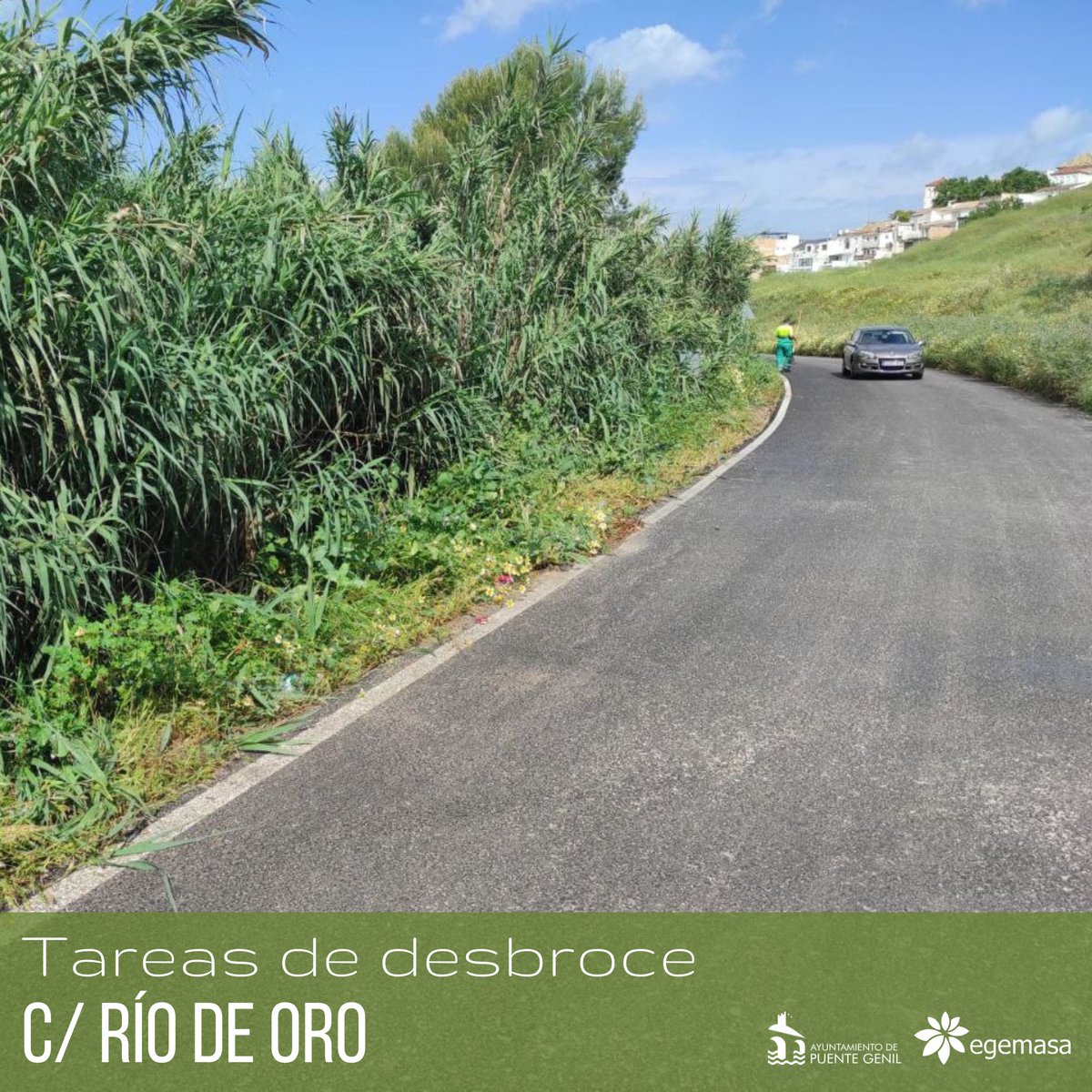 En el día de hoy, operarios de Parques y Jardines de <a href="/Egemasa/">Egemasa</a> han realizado labores de desbroce, corte y retirada de cañas y vegetación en Río de Oro.

Se mejora la visibilidad y la seguridad vial para todos los que transitan por esta vía.

Seguiremos en los próximos días.