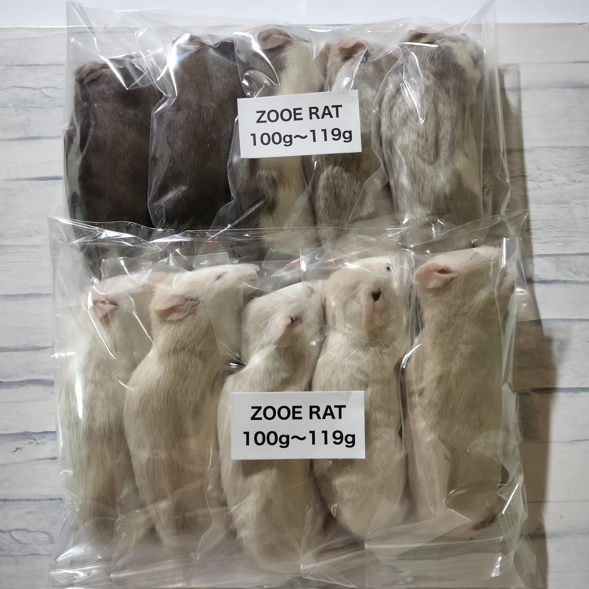 ZOOE（ズーエ）冷凍ラット販売店 (@ZOOE_rat) / X