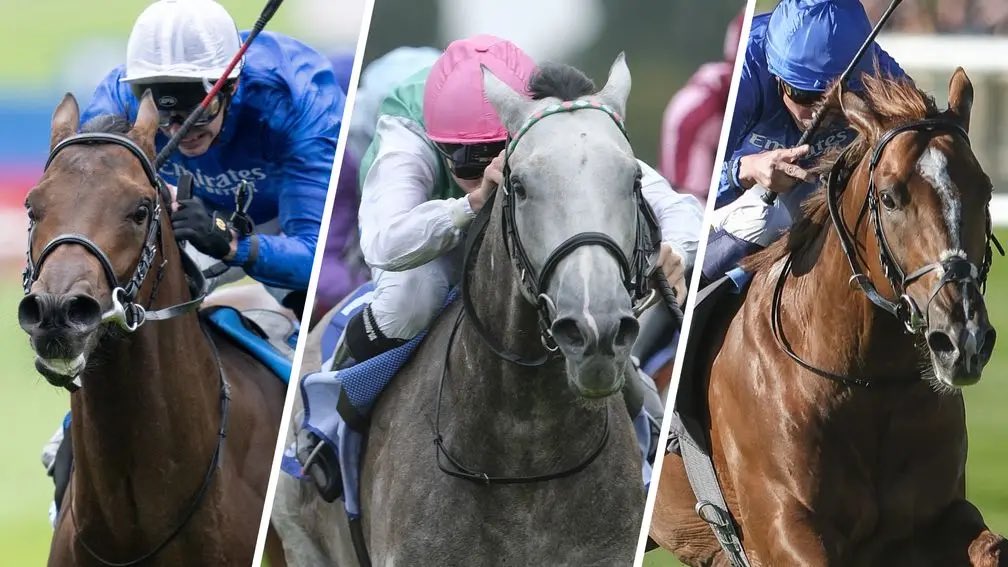 InsiderEdgeBets's tweet image. 🚨£200 FREE BET GIVEAWAY🚨

We are giving away a £200 FREE BET
for tomorrow’s 2000 GUINEAS feature race at Newmarket!

To Enter:

1️⃣Follow @InsiderEdgeBets
2️⃣Like &amp;amp; Retweet this post
3️⃣Reply below with your selection👇

Winner must be willing to record their reaction, good luck!