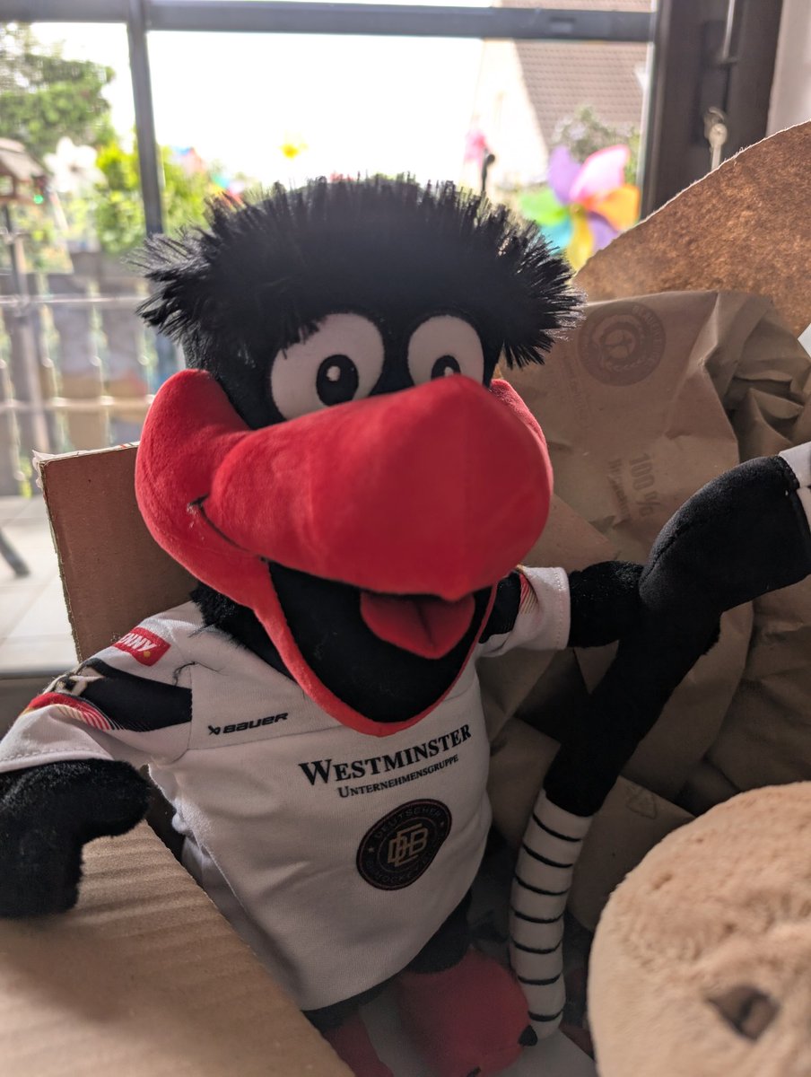 Guenni - VIP (Very Important Paarhufer) tweet media