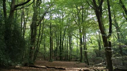 Wild Justice has criticised the environmental provisions in the government’s Planning and Infrastructure Bill, arguing that it will erase the level of environmental protection provided in law. Wild Justice is represented by Leigh Day partner Ricardo Gama leighdaylaw.info/4cWeknb