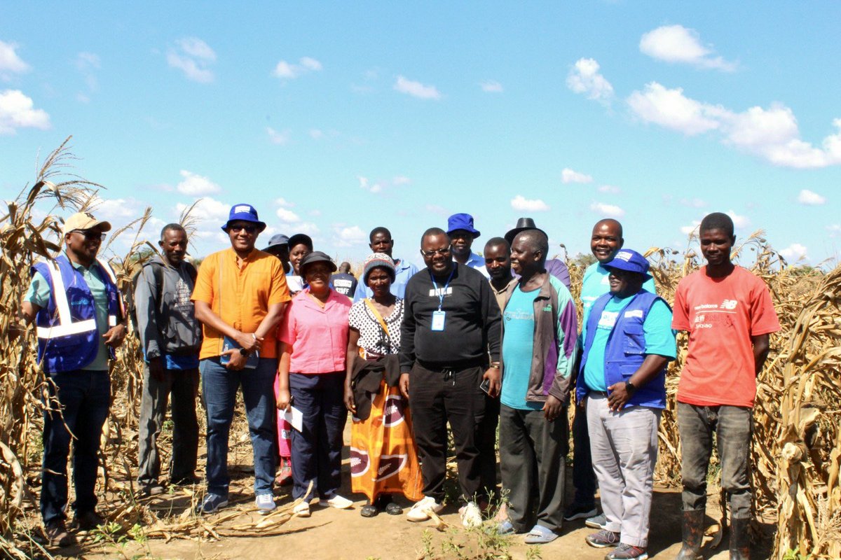 Labour Day in the field! 

We spent the day with Lubinga B Cluster in Chibombo, one of 100 clusters we supported with farming inputs to fight drought induced hunger.

The maize is doing well, families are harvesting &amp; kids can now go to school with full stomachs. 

#FoodSecurity