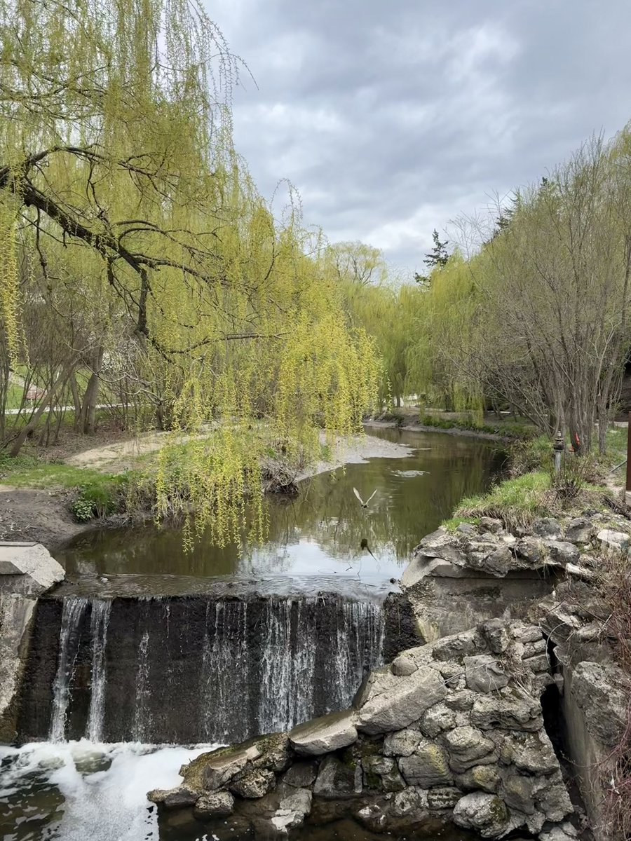 dima.eth tweet media