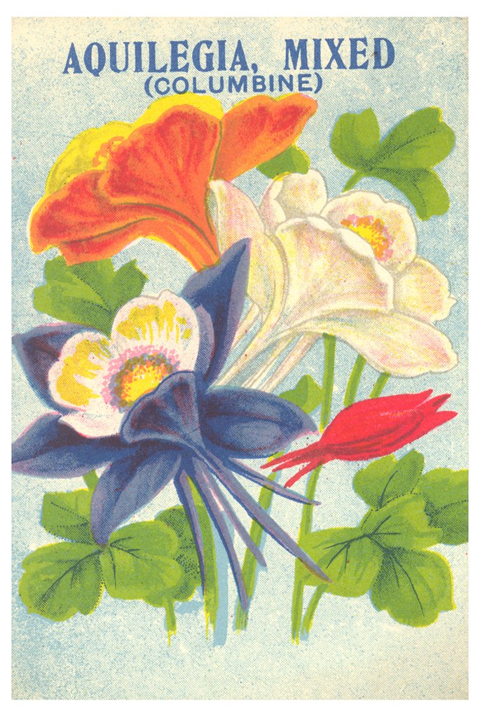 EdinCulture's tweet photo. Planning your borders this #NationalGardeningWeek?  Why not take inspiration from some of our beautiful historical seed packets printed by Edinburgh printers Smith &amp; Ritchie? #gardening #spring #summer #gardener #archive #museumlover #gardeninglife https://t.co/3uqpFRQfnN