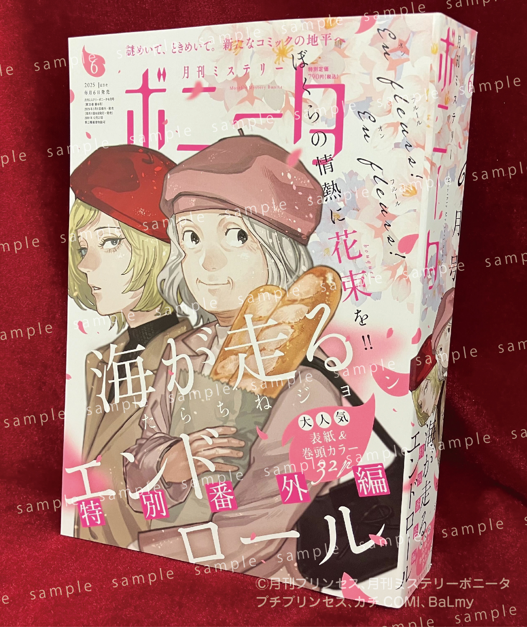 海が走るエンドロール」公式🌊6巻3/14発売 (@umihashi_info) / X