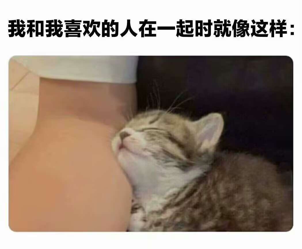 hatadanna's tweet photo. https://t.co/TzMdM8NLSP