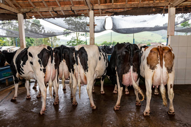 Agricultural opportunities| SMART-AGRI tweet media