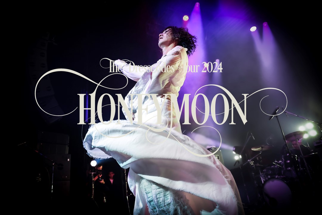 【非売品】ドレスコーズ「どろぼう」 the dresscodes 告知 ポスター 非売品】ドレスコーズ「どろぼう」 the dresscodes 告知