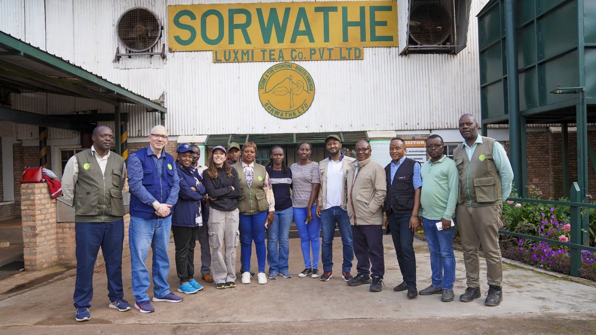 SORWATHE LTD (@sorwatheltd) on Twitter photo Successful visit to Rulindo District and SORWATHE factory on April 30th!
IFAD consultants led by <a href="/RasDagmawi/">Dagmawi Selassie</a> Country Director, and district authorities, joined our team to review PSAC activities, including thriving tea seedling production, cooperative partnerships, and factory Successful visit to Rulindo District and SORWATHE factory on April 30th!
IFAD consultants led by <a href="/RasDagmawi/">Dagmawi Selassie</a> Country Director, and district authorities, joined our team to review PSAC activities, including thriving tea seedling production, cooperative partnerships, and factory