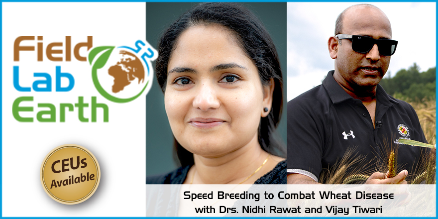 fieldlabearth's tweet image. Are you a #CCA or #CPSS? Want more CEUs? Listen to our recent episode about speed breading to improve wheat disease resistance and take the quiz for .5 CEUs in Integrated Pest Management.
Listen: ow.ly/Ywmw50VGgBB
Take the quiz: ow.ly/xFvo50VGgCm