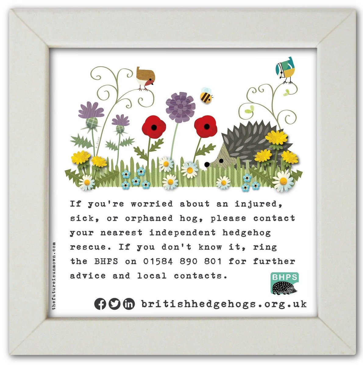 #HedgehogWeek begins on Sunday 4th May – throughout the week we’ll be posting #hedgehog infographics, like this one! 
Please look out for them and give them a share. 
🦔 🦔 

Save &amp; share this tip– it could help you out if you spot a hedgehog which needs urgent care!