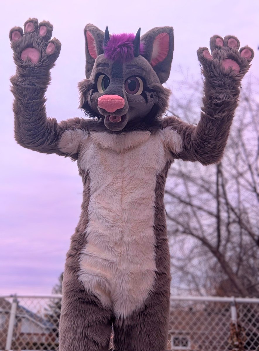 FolfStructure's tweet image. Hands up ! It&apos;s Fursuit Friday 🐾 - #folf #furry #furries #fursuit #lemonbrat #lemonbratfursuit #FursuitFriday #folffriday