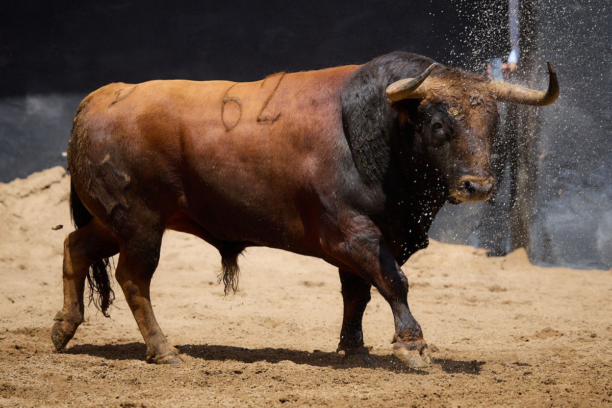 Chicuelinas y Tafalleras (@chicuelina61895) on Twitter photo 📝 ACTUALIDAD
👉 Los toros de Jandilla-Vegahermosa para hoy en Sevilla
chicuelinasytafalleras.com/actualidad/los… <a href="/maestranzapages/">La Maestranza-Pagés</a> <a href="/JMManzanares/">JM Manzanares</a> 📝 ACTUALIDAD
👉 Los toros de Jandilla-Vegahermosa para hoy en Sevilla
chicuelinasytafalleras.com/actualidad/los… <a href="/maestranzapages/">La Maestranza-Pagés</a> <a href="/JMManzanares/">JM Manzanares</a>