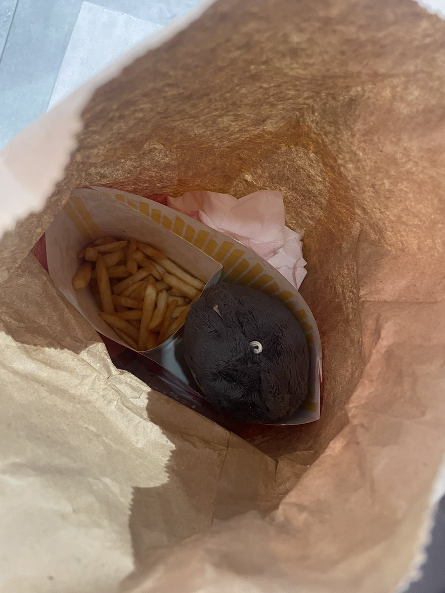 haerchives_'s tweet photo. Hirap kumuha ng fries kanina, lupet ng bantay na pusa sa loob https://t.co/NVRqycynji