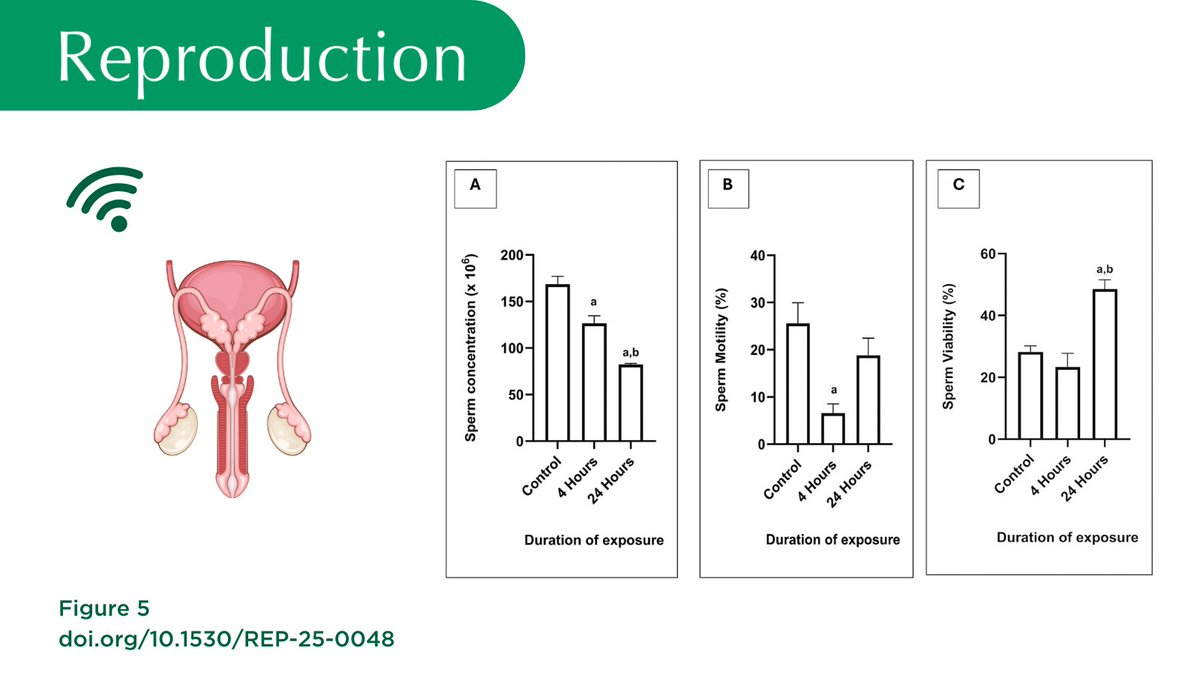 Reproduction journal (@reprodjournal) on Twitter photo Latest research by Sivasatyan Vijay et al. <a href="/ukm_my/">UKM (Malaysia)</a> explores the effects of 2.45 GHz Wi-Fi on male reproductive health, including histological alterations and sperm quality.
🔗Read the full article here: doi.org/10.1530/REP-25… Latest research by Sivasatyan Vijay et al. <a href="/ukm_my/">UKM (Malaysia)</a> explores the effects of 2.45 GHz Wi-Fi on male reproductive health, including histological alterations and sperm quality.
🔗Read the full article here: doi.org/10.1530/REP-25…