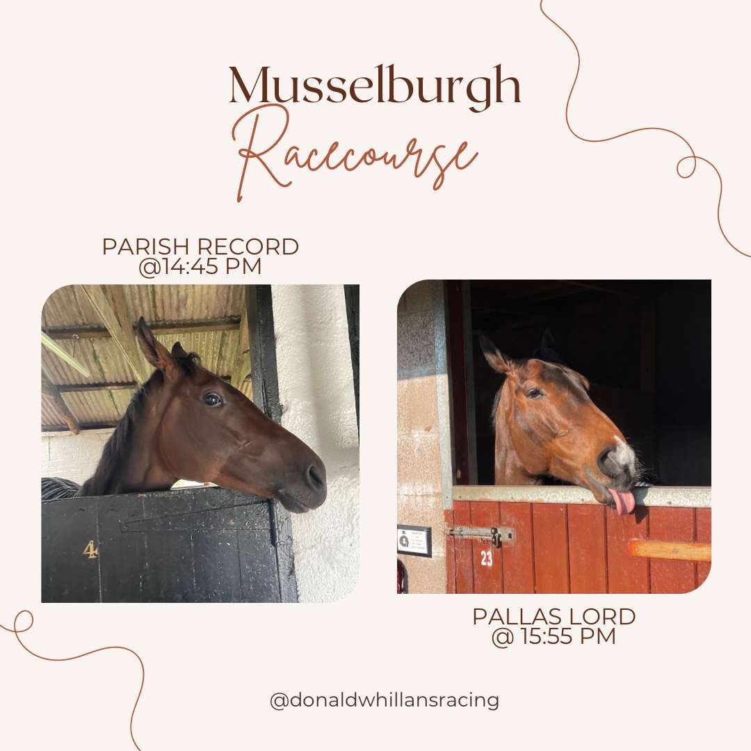 🏁Race Day🏁

We are off to <a href="/MusselburghRace/">Musselburgh Racecourse</a> today!🐴

⏰ 14:45
🐎 PARISH RECORD
⚡️<a href="/tomeaveswigan/">Tom eaves</a> the saddle 
🔑 for <a href="/HWhillans/">Helen Whillans</a> 

⏰ 15:55
🐎 PALLAS LORD
⚡️<a href="/CallumSheppy/">Callum Shepherd</a> the saddle 
🔑 for The Yard⚪️⚫️

🤞🏼Good Luck Team🤞🏼