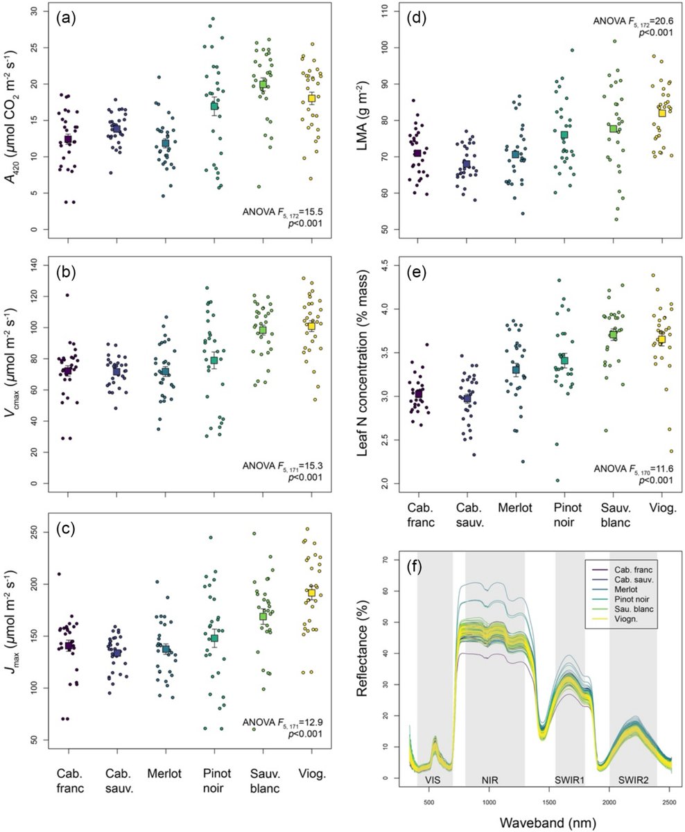 Plants People Planet π±π₯π (@plantspplplanet) on Twitter photo Reflectance #spectroscopy predicts leaf functional #traits across #wine grape cultivars π
Boya Cui, Rachel Mariani, Kimberley A. Cathline, Gavin Robertson, and Adam R. Martin
π nph.onlinelibrary.wiley.com/doi/10.1002/ppβ¦
<a href="/wileyplantsci/">Wiley Plant Science</a> Reflectance #spectroscopy predicts leaf functional #traits across #wine grape cultivars π
Boya Cui, Rachel Mariani, Kimberley A. Cathline, Gavin Robertson, and Adam R. Martin
π nph.onlinelibrary.wiley.com/doi/10.1002/ppβ¦
<a href="/wileyplantsci/">Wiley Plant Science</a>