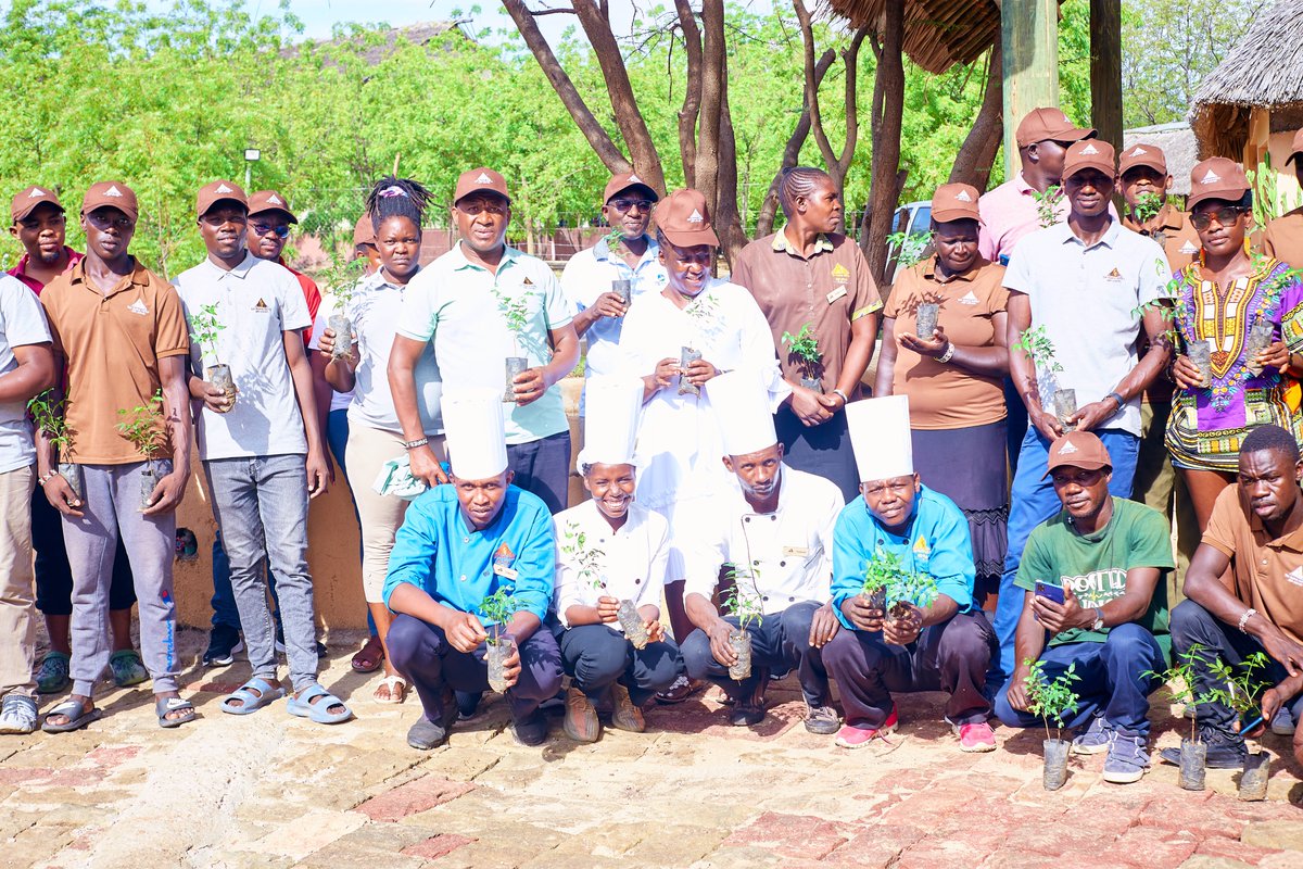 CampCradle's tweet photo. This Labour Day, our team stepped out of routine and into the soil.
Planting trees with the same care they give our guests, quietly, wholeheartedly.
Roots in the soil, hearts in the cause.
#CradleCares #LabourDay2025 #GuestFirst #ecotourism #bbcforchaos #touristmissing https://t.co/ifdAr1Oq8S