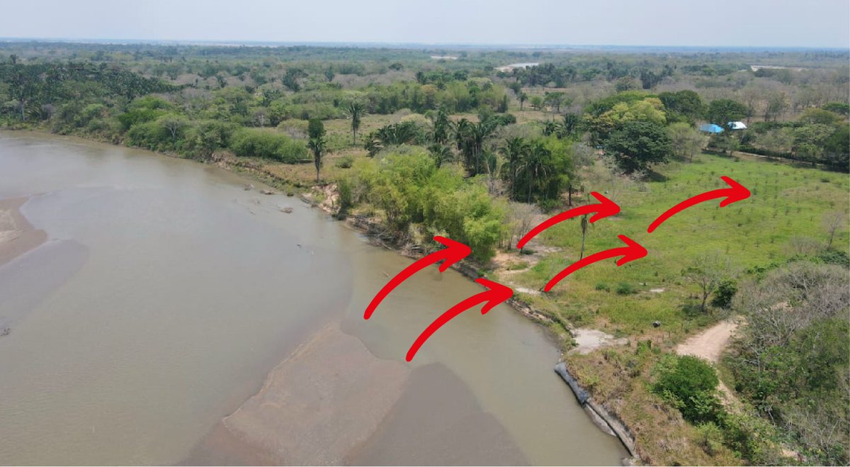 Comunidad y autoridades unen esfuerzos para construir dique contra inundaciones en Yopal casanareonline.co/comunidad-y-au… #CasanareOnline #GestiónDelRiesgo #Yopal #Inundaciones <a href="/GobCasanare/">Gobernación de Casanare</a>