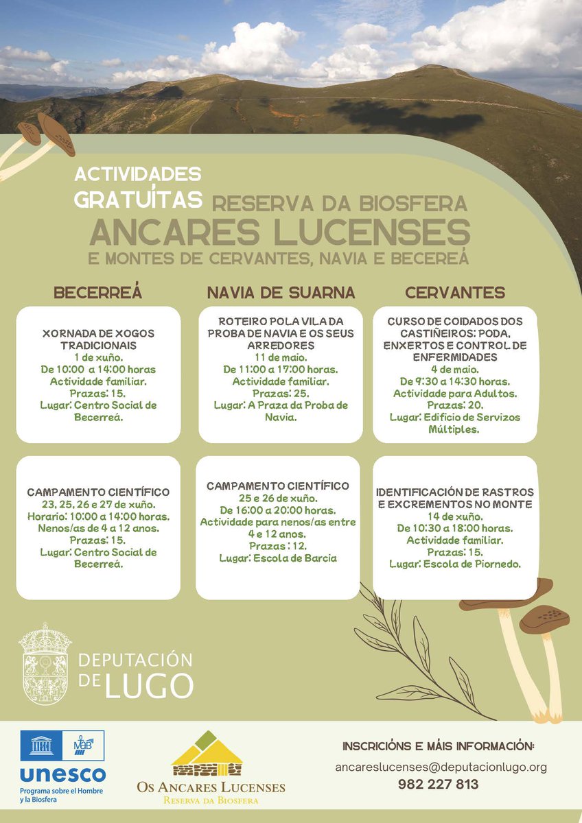 Concello Becerreá (@cbecerrea) on Twitter photo 